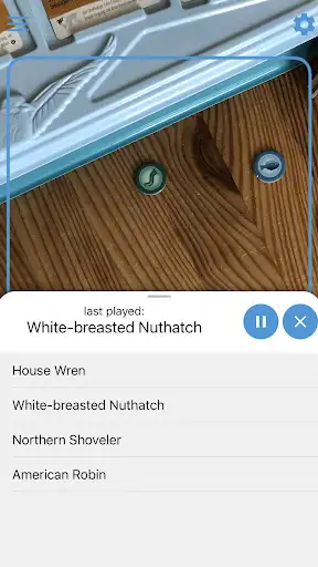 Wingsong - Songs of Wingspan screenshot 3