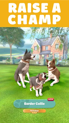 Pocket Paws: My lovely dogs screenshot 2